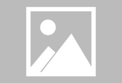 米乐官方app下载包含莎拉波娃迎来二十赛季高光表现，塞尔维亚队球迷沸腾！的词条